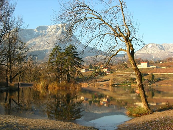 Vignobles du Granier et lac Saint-André