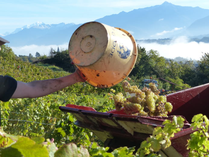 Domaine de l'Idylle