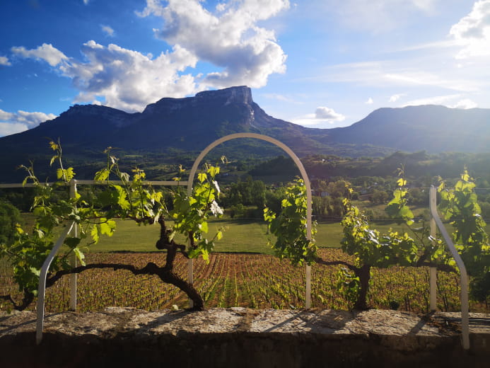 Domaine des Granges Longes