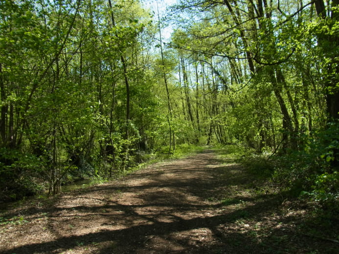 Lac Sainte-Hélène