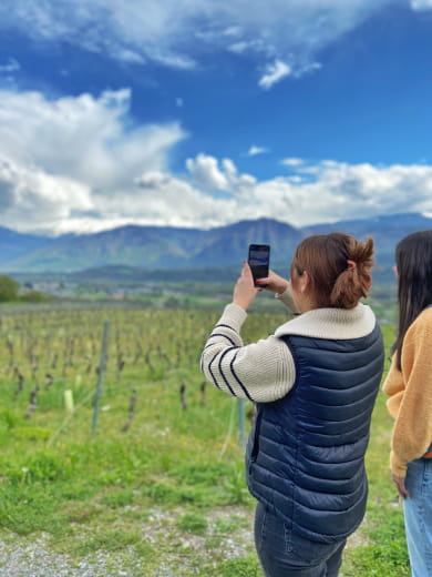 Balade dans les vignes