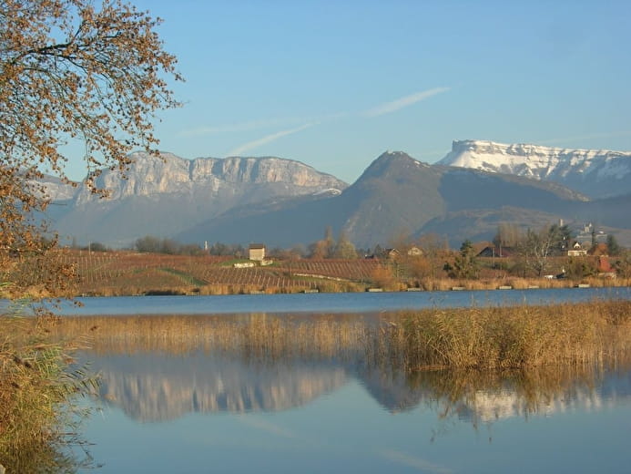 Vignobles du Granier et lac Saint-André