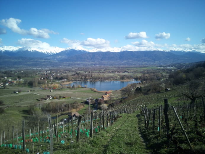 Domaine Dacquin