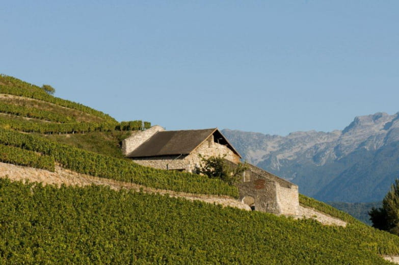 Domaine André et Michel QUENARD