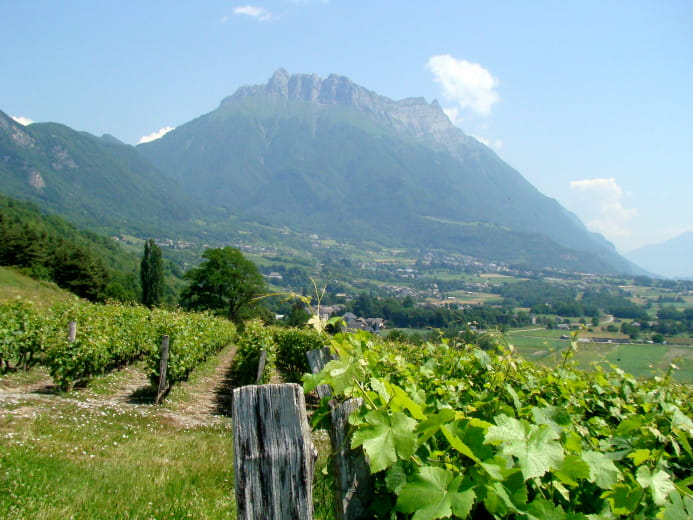 Vue sur le massif des bauges