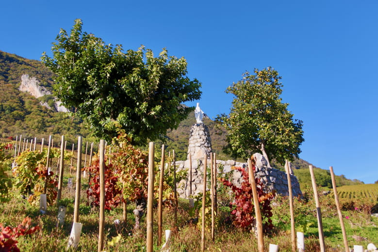 Notre dame des Vignes