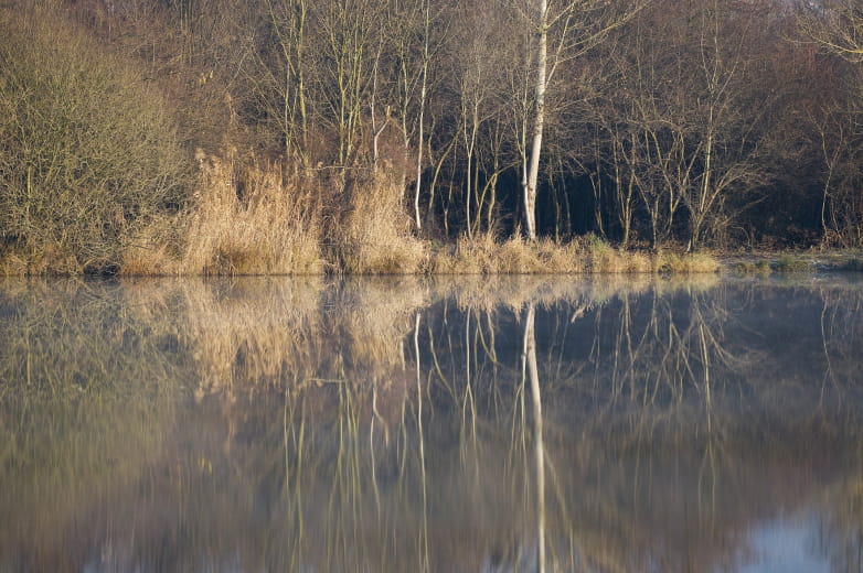 Le plan d'eau de Coise