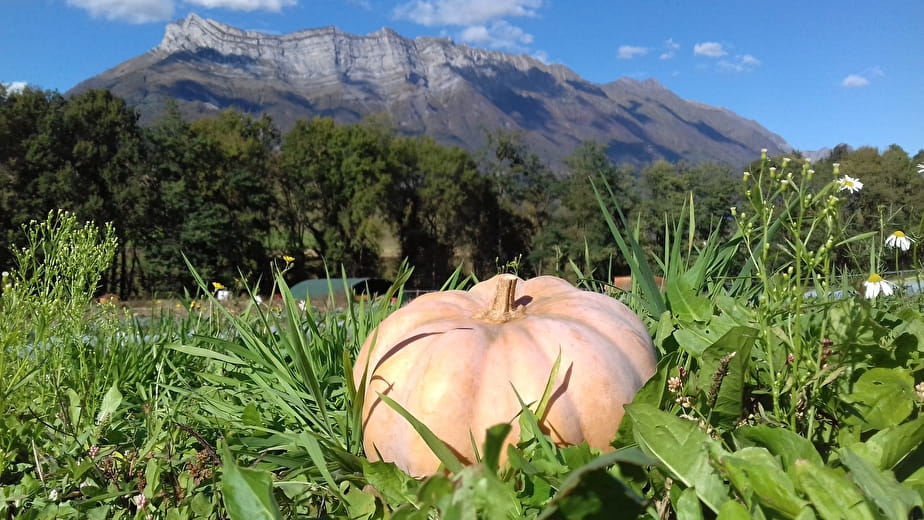 Au jardin de la Faranche