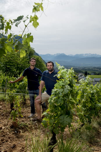 Domaine Claude Quenard et fils