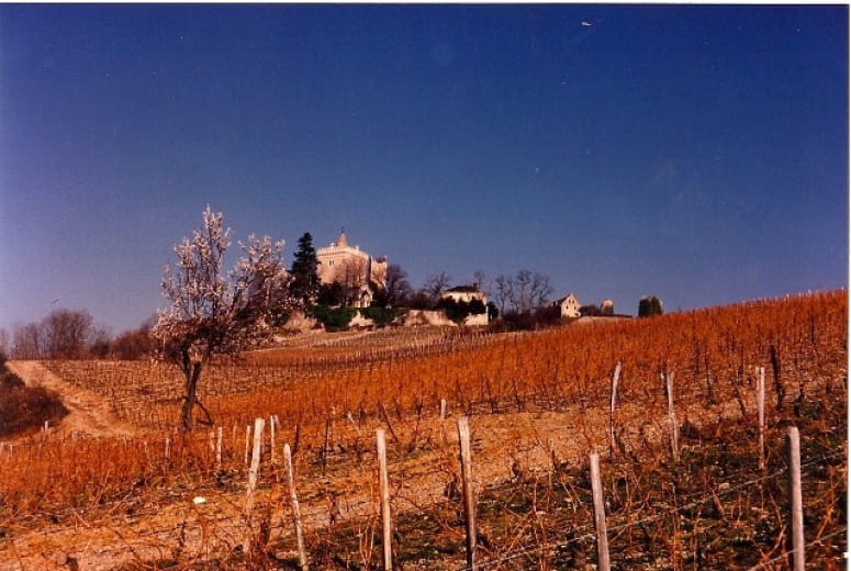 Domaine Pascal, Annick et Noé Quenard