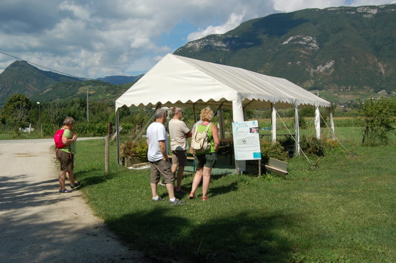 Domaine Aux Fruits de la treille