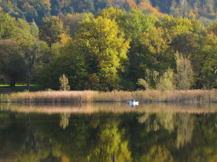 Promenade confort : Lac Saint-Clair