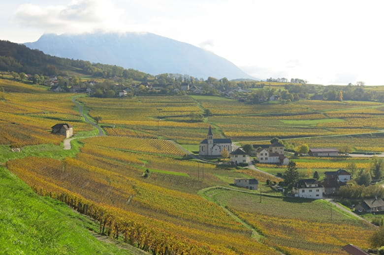 Alpes Flaveurs  - Bernard Vissoud