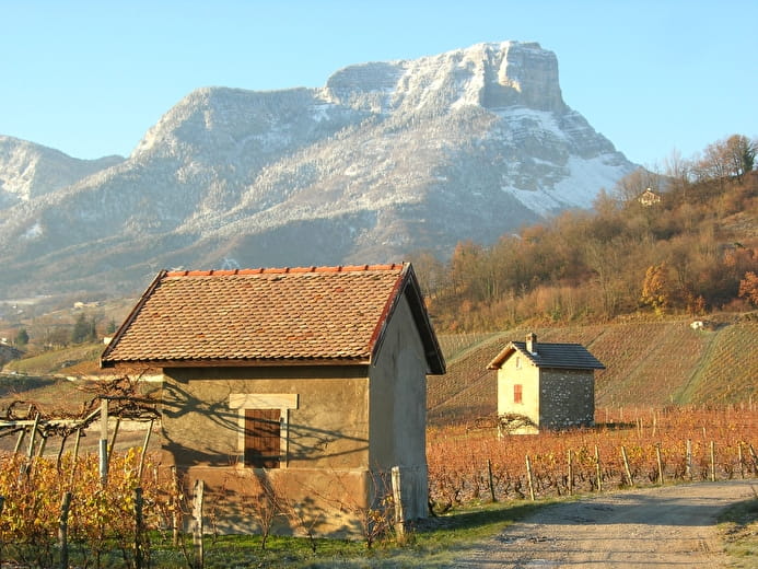 Sartos au pied du Granier