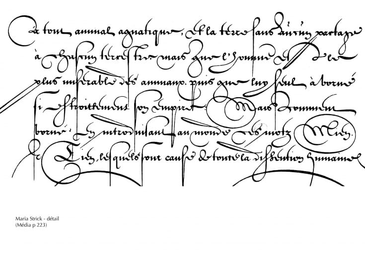 Calligraphie Marine Porte de Sainte Marie