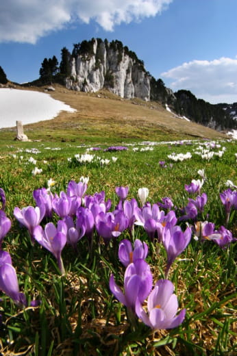 Réserve Naturelle des Hauts de Chartreuse