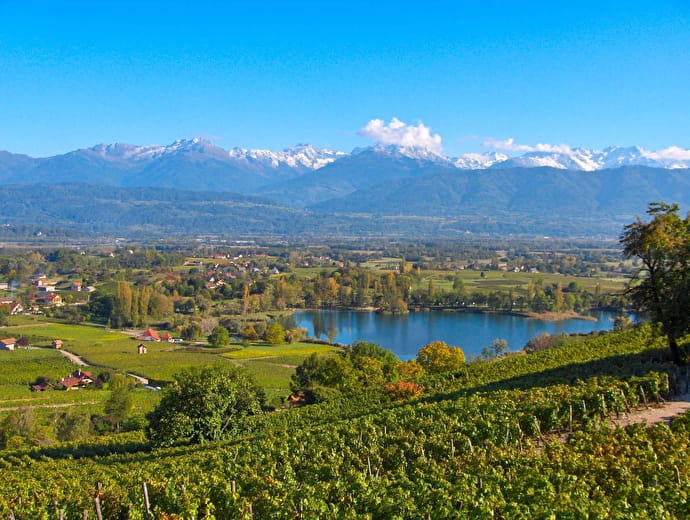 Alpes Flaveurs  - Bernard Vissoud