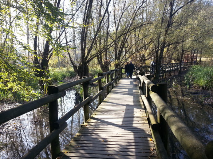 Promenade confort : Lac Saint-Clair