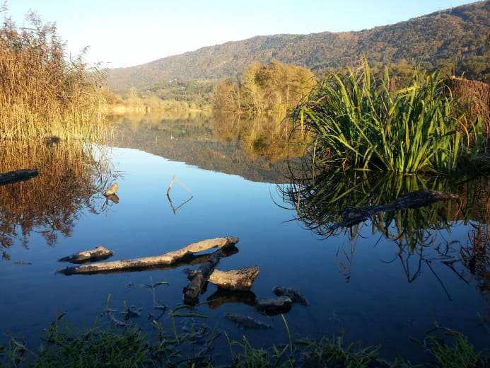 Promenade confort : Sentier du lac et randocroquis des rives du Coisétan