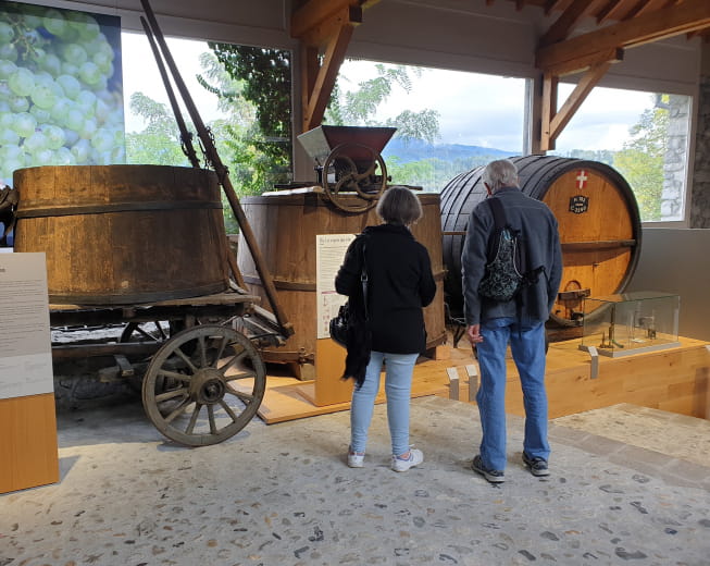 Visite du Musée de la vigne et du vin de Savoie - Montmélian